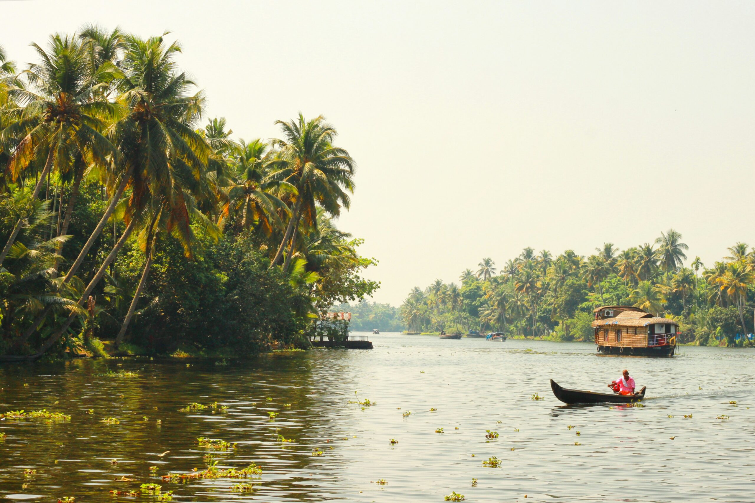 ashtamudi wetland