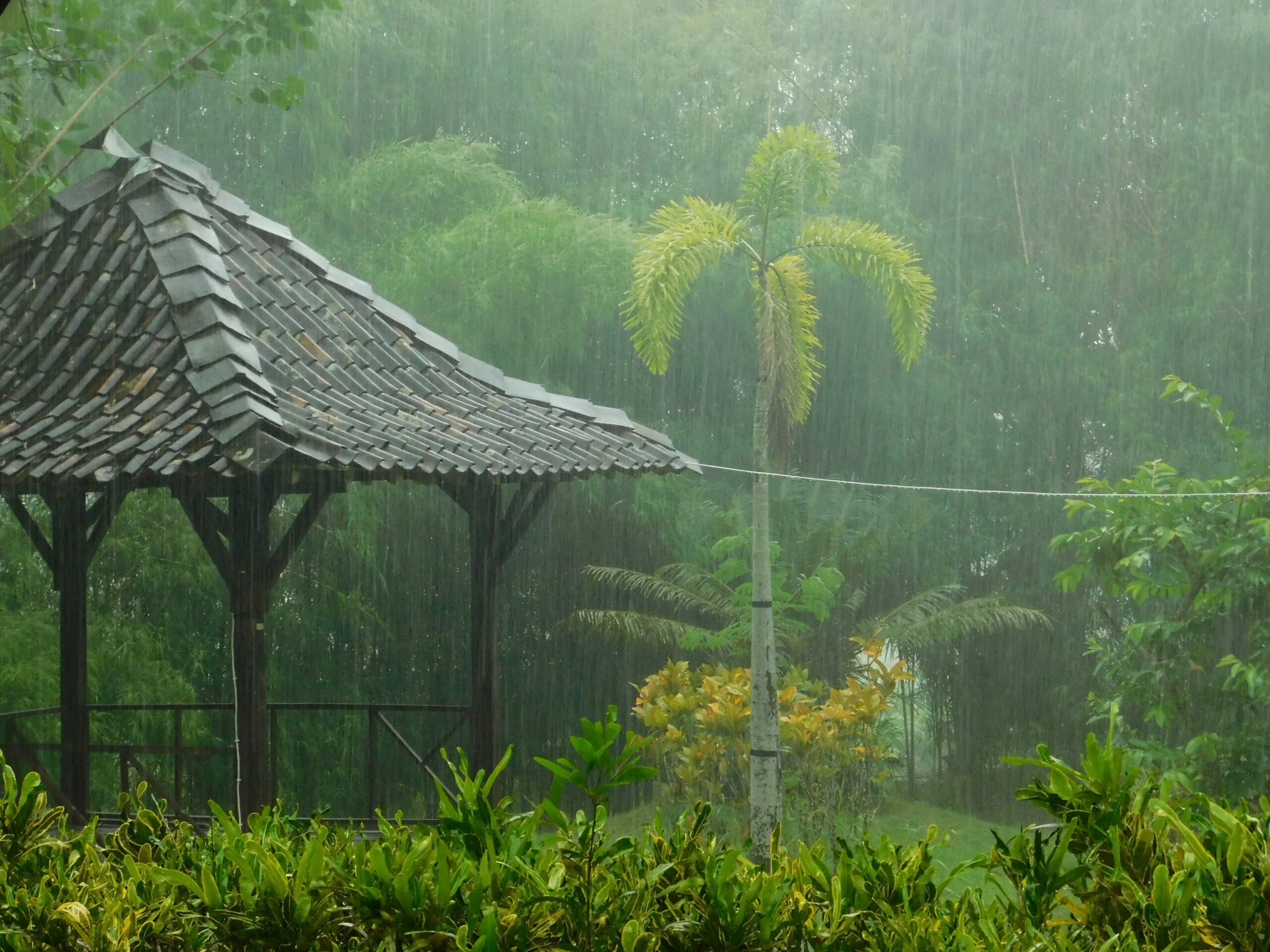 monsoon preparations in kerala