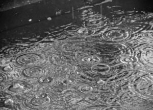 Heavy Rain Forecast Across Kerala; Yellow Alert Issued in Nine Districts